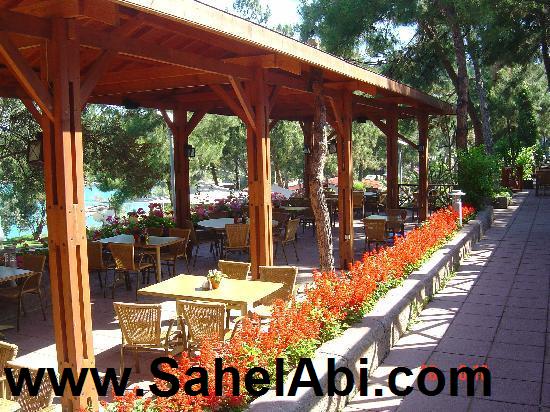 تور ترکیه هتل ریکسوس پریمیوم - آژانس مسافرتی و هواپیمایی آفتاب ساحل آبی